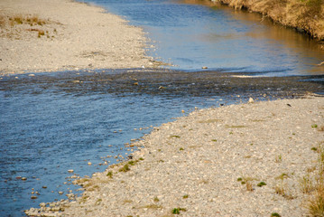 slow river flowing in the afternoon