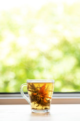 Flowering tea. Brewed Chinese teabloom in a transparent glass mug opposite the open window with a spring or summer view.