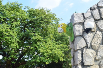 Loro Huasteco