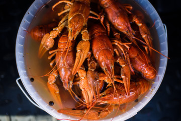 boiled crayfish