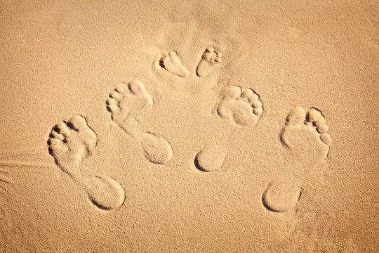 Family footprints on golden sand of father mother and baby