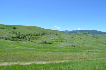 Late Spring in Wyoming: Eastern Foothills of the Bighorn Mountains