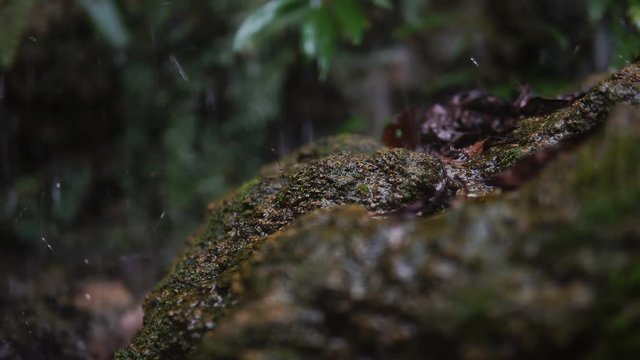 water drop pn the rock 4k