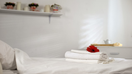Flower lying on clean towels on bed, comfortable hotel room, washing powder