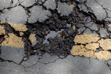 calle da&ntilde;ada, agrietada
