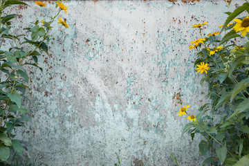 Distressed grunge background with wild flowers on the sides. Old metal with rusty texture, copy space for inserting text.