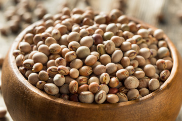 Organic Dry Toor Whole Pigeon Peas