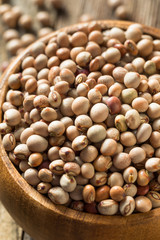 Organic Dry Toor Whole Pigeon Peas