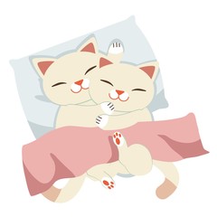 The character of cat sleeping on the white pillow and white background. The cat sleeping and hugging a friend.the cpuple cat in blanket .hope it have a sweet dream a cute cat in flat vector style