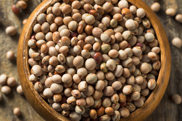 Organic Dry Toor Whole Pigeon Peas