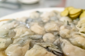fresh oysters close-up on white plate