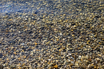 pebble under clear water in riverbed