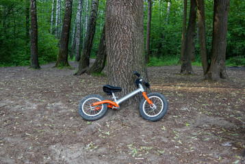 Fototapeta na wymiar children's Bicycle without pedals next to a tree in the city Park 