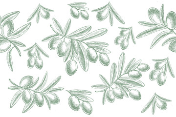 Olives hand drawn isolated illustrations.