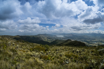 Fototapeta na wymiar National natural Chingaza park, Frailejones