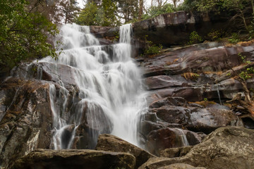 Fototapeta na wymiar Ramsey Cascades waterfall in Great Smoky Mountains National Park