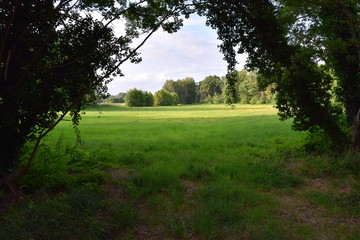 Lichtung des Waldes mit Blick auf eine schöne Landschaft