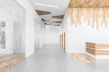 White and wooden office hall with reception