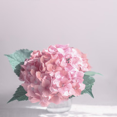 pink hydrangea in a vase close-up. pink hydrangea background.