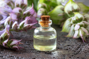 Obraz na płótnie Canvas A bottle of clary sage essential oil and fresh plant