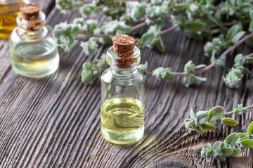 A bottle of marjoram essential oil and fresh marjoram twigs