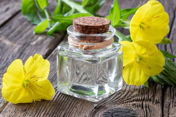 A bottle of evening primrose oil and blooming plant