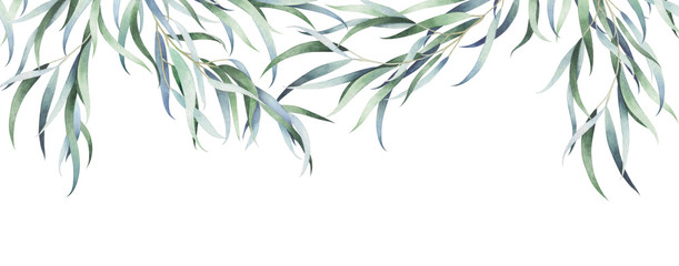 Fototapeta Eucalyptus branches isolated on white. Watercolor hand drawn illustration. obraz