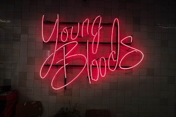 Neonlicht Leuchtstoffröhren-Schriftzug, Young Bloods, Holland