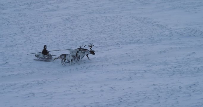 Wonderful video of a man on a sleigh have a ride with beautiful reindeers in the middle of Arctic