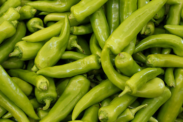 Fresh Green Peppers Season