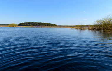 Autumn evening landscape with the river and a beautiful tree