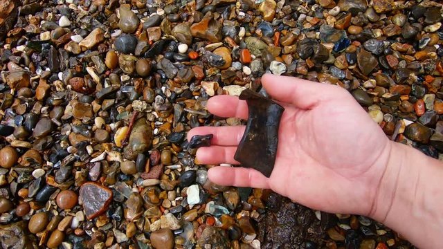 Slow motion of finding bone remains between stones.