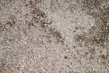 Cracked concrete texture closeup background. Asphalt texture surface for background