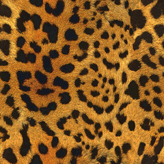 Seamless leopard skin pattern design 