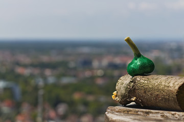 fresh garlic in brocade, glitter on the bosom of nature