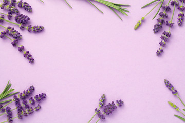 Lavender Flowers On Pink Background