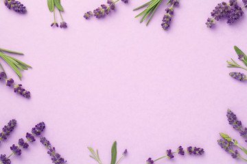 Lavender Flowers On Pink Background