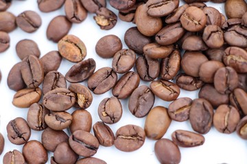 coffee beans on white background