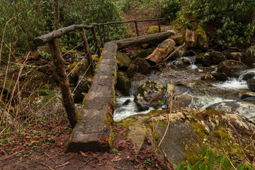 Primitive bridge over stream in the Great Smoky Mountains National Park