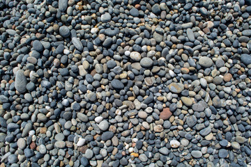 Pebbles from a pebble beach