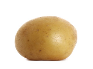 Young organic potato isolated on white background
