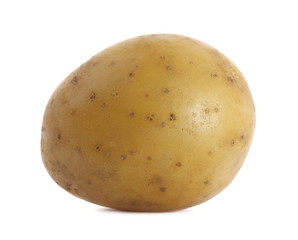 Young organic potato isolated on white background