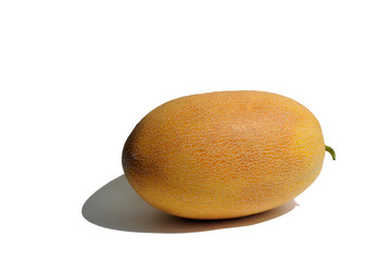 Melon fruit on a white background. Front view. Space for text and advertising.