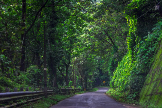 Vagamon, Kerala, India- 07 July 2019:Erattupetta Peerumedu road to vagamon hill station