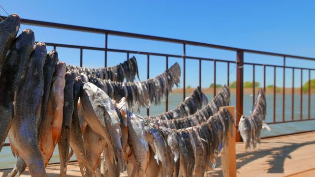 Sunny day in the fishing village. Fish is dried on the pier on the river bank near a small fishing village.