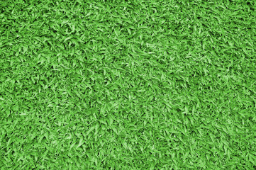 green grass. natural background texture. fresh spring green grass.