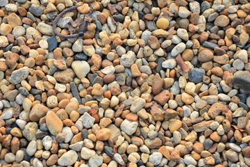 Colorful small pebbles or stone in garden