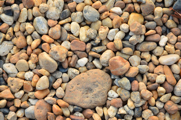 Colorful small pebbles or stone in garden