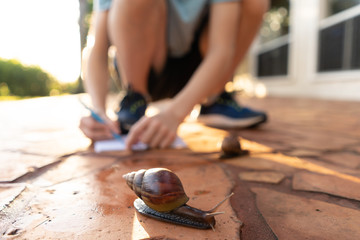 Child drawing in notebook next to giant snails