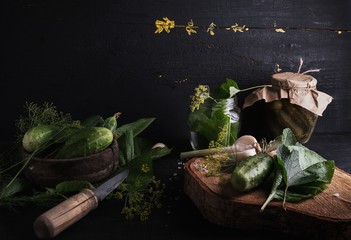 Salted cucumbers. Spices and herbs for making pickles. The top view of the wooden background